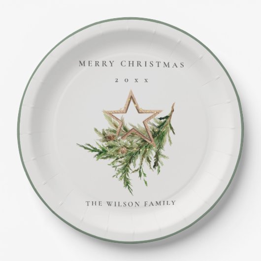 Star Ornament Pine Branch Fauna Frohe Weihnachten Pappteller (Vorderseite)