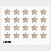 Star Passover Matzoh Stickers (Blatt)