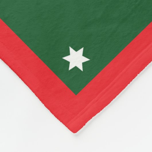 Star pattern penguin green red name fleecedecke (Ecke)