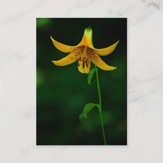 Star Pose Mini Print Visitenkarte (Vorderseite)