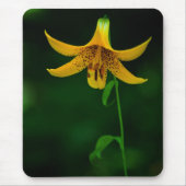 Star Pose Mousepad (Vorne)