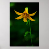 Star-Pose Poster (Vorne)