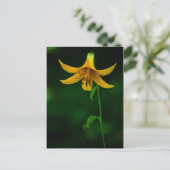 Star Pose Postkarte (Stehend Vorderseite)