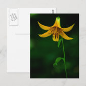 Star Pose Postkarte (Vorne/Hinten)