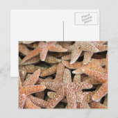 Star Postkarte (Vorne/Hinten)