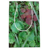 STAR-QUALITÄTSGESCHENKE/KLEINE MITTLERE LG-WEIN-GR GESCHENKTÜTE (Vorderseite)