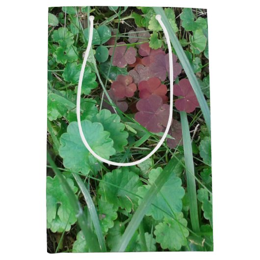 STAR-QUALITÄTSGESCHENKE/KLEINE MITTLERE LG-WEIN-GR MITTLERE GESCHENKTÜTE (Vorderseite)