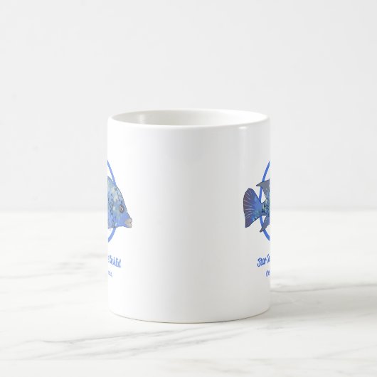 Star Sapphire Cichlid Kaffeetasse (Mittel)