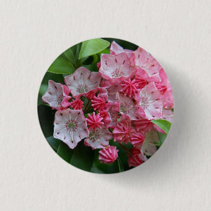 Star Shaped Kalmias Button