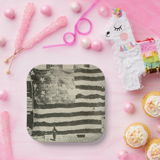 Star Spangled Banner: American Flag on Display Pappteller (Party)