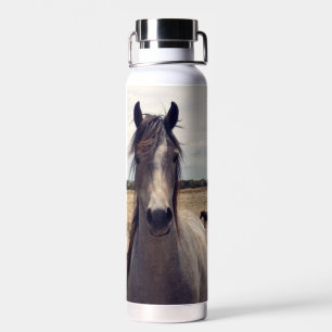 Star the Arab Horse, Trinkflasche