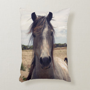Star The Arab Pony, Dekokissen