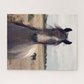 Star The Arab Pony, Jigsaw Puzzle (Horizontal)