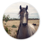 Star The Arab Pony, Keramikknauf (Vorderseite)