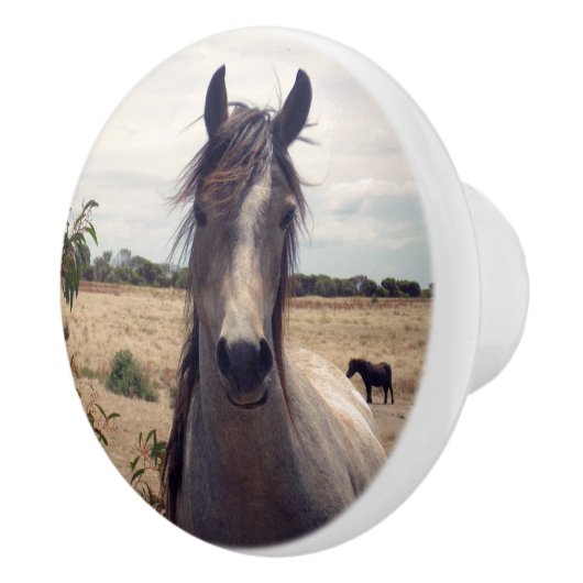 Star The Arab Pony, Keramikknauf (Rechts)