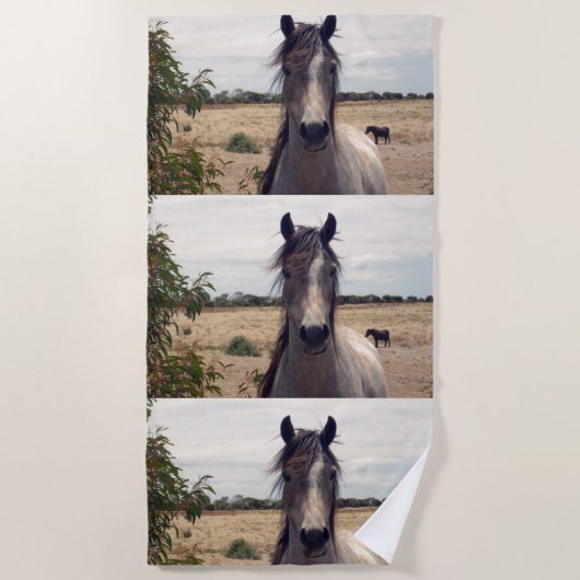 Star The Arab Pony, Strandtuch (Vorderseite)