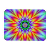 Star Time Foto Magnet (Horizontal)