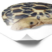 Star Tortoise Print Fotodruck (Ecke)