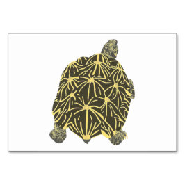 Star Tortoise Turtle Reading Flashcards für Erwach Tischnummer