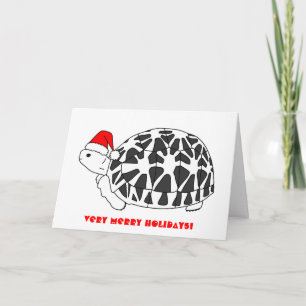 Star Tortoise Weihnachtskarte (elf Hut) Feiertagskarte