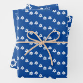 Star von David Jewish Bar Mitzvah Hanukkah Simple Geschenkpapier Set (Beispiel)