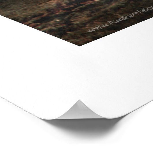 Star Wolf Poster (Ecke)