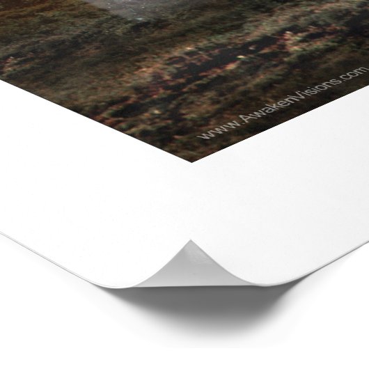 Star Wolf Poster (Ecke)