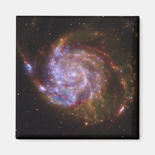 Starbirth im Pinwheel: M101 Galaxy Magnet (Vorne)