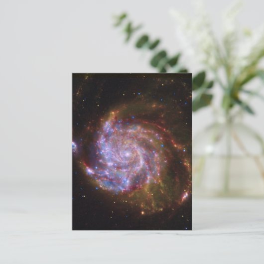 Starbirth im Pinwheel: M101 Galaxy Postkarte (Stehend Vorderseite)