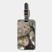 Stardust Kätzchen Gepäckanhänger (Vorderseite vertikal)