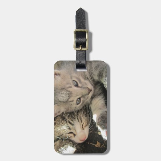 Stardust Kätzchen Gepäckanhänger (Vorderseite vertikal)