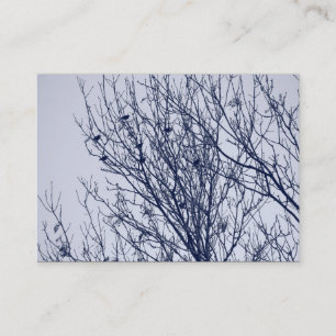 Stare auf einem Baum Visitenkarte