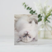 Stare Down Postkarte (Stehend Vorderseite)