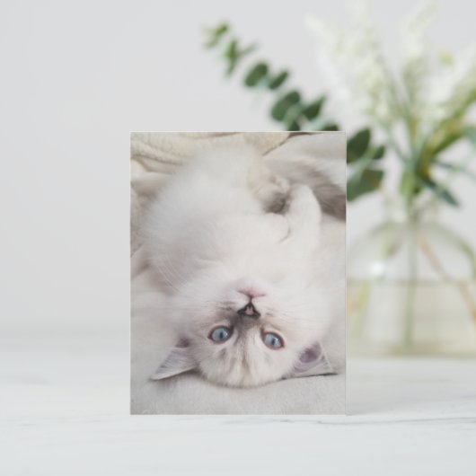 Stare Down Postkarte (Stehend Vorderseite)