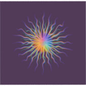 Stareye Aufkleber (Vorderseite)