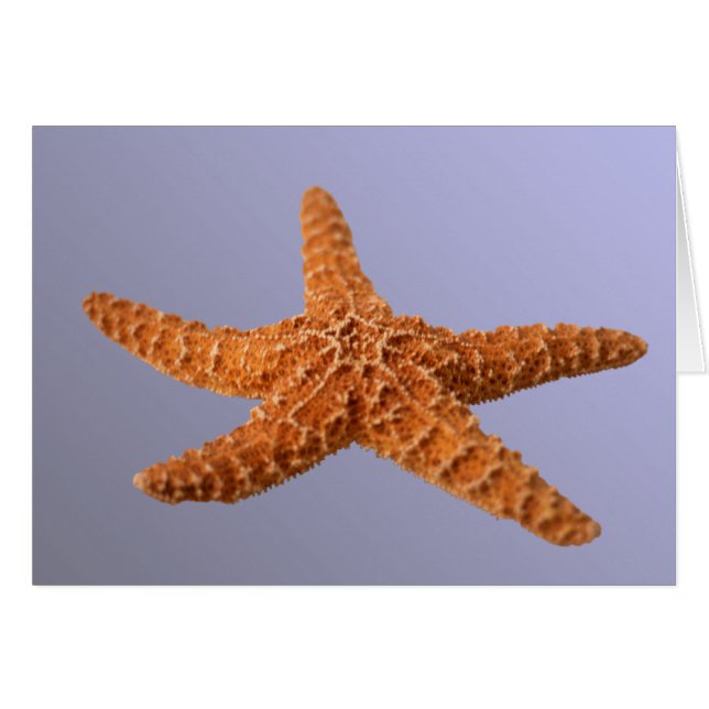 Starfish (Vorderseite (Horizontal))
