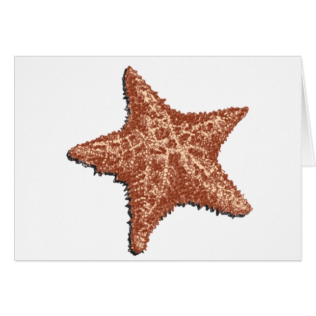 Starfish (Vorderseite (Horizontal))