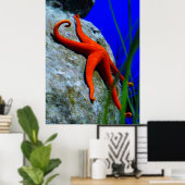 Starfish-452926 BRIGHT RED STARFISH FOTOGRAPHIE Poster (Heimbüro)