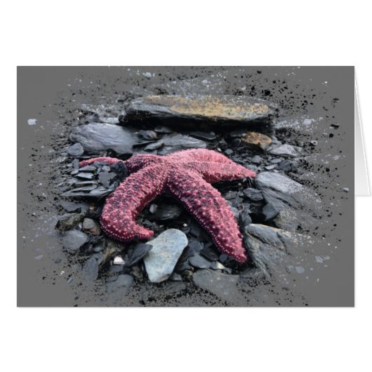 Starfish - 5" x 7" Art Card (Vorderseite (Horizontal))
