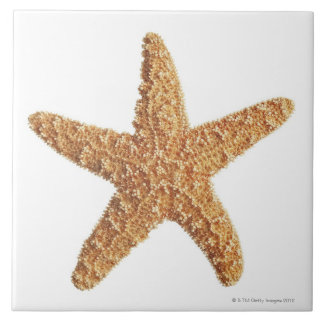 Starfish abgeschieden auf Weiß Fliese
