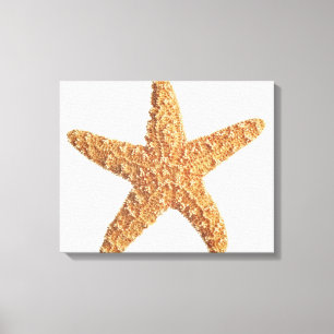 Starfish abgeschieden auf Weiß Leinwanddruck