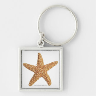 Starfish abgeschieden auf Weiß Schlüsselanhänger