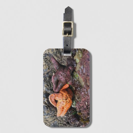 Starfish am Bob Creek, OR Gepäckanhänger (Vorderseite Vertikal)