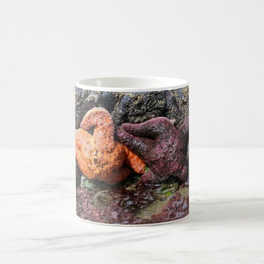 Starfish am Bob Creek, OR Kaffeetasse (Mittel)