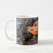 Starfish am Bob Creek, OR Kaffeetasse (Links)