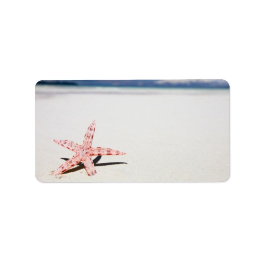 Starfish am Strand Adressaufkleber (Vorne)