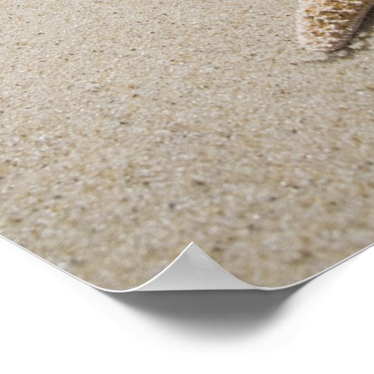 Starfish am Strand am Atlantik Poster (Ecke)