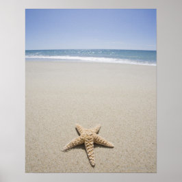 Starfish am Strand am Atlantik Poster