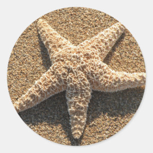 Starfish am Strand Runder Aufkleber