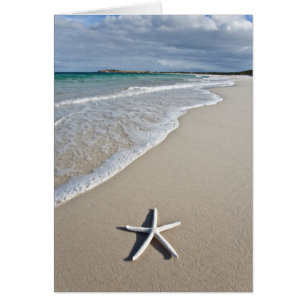 Starfish an einem abgelegenen Strand